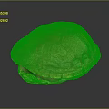 Orange Yellow Turtle Shell With Intricate Texture On Dark Background Surface