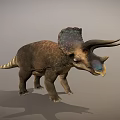 Realistic Triceratops 3D Model with Large Frill Brown Body Horns and Standing Pose