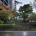 Tranquil Garden Landscape With Tall Trees Lush Lawn Stone Pathway And Outdoor Seats