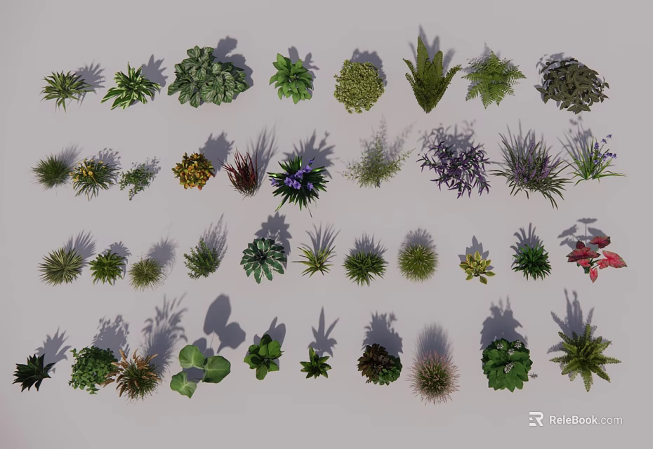 Various Ground Cover Plant Varieties for Garden Landscaping and Outdoor Design 3d model 