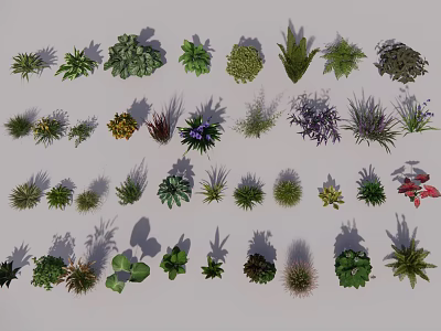 Various Ground Cover Plant Varieties for Garden Landscaping and Outdoor Design 3d model