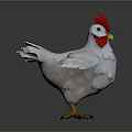 Low Poly 3D Chicken Model With White Feathers Red Comb And Yellow Feet