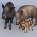 Three Reptiles Featuring Adult And Juvenile With Brown Black And Striped Skin Patterns