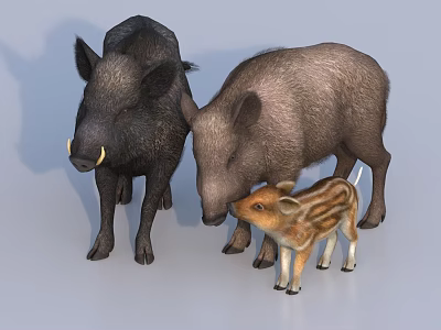 Three Reptiles Featuring Adult And Juvenile With Brown Black And Striped Skin Patterns 3d model