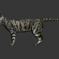 Realistic Gray Striped Reptile Standing On Black Reflective Background Surface