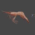 Cooked Whole Shrimp with Long Antennae and Curved Tail on Gray Surface