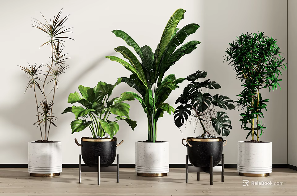 Various Indoor Potted Plants With Green Leaves In White And Black Pots On Metal Stands 3d model 