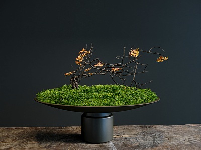 Moss Bonsai model