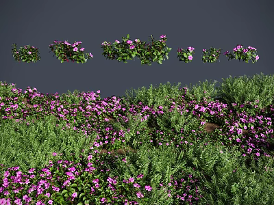 Naturally Growing Flowers and Plants With Purple Blooms Green Leaves and Various Forms 3d model