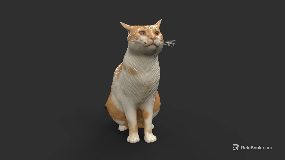 Orange And White Cat Sitting On Black Background With Soft Fur Details 3d model 