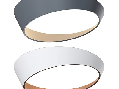 Modern Circular Ceiling Light with Gray and White Design for Home Interior 3d model