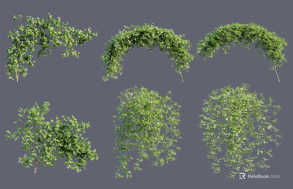 Diverse Green Vines and Shrubs in Various Shapes for Garden Landscaping 3d model 