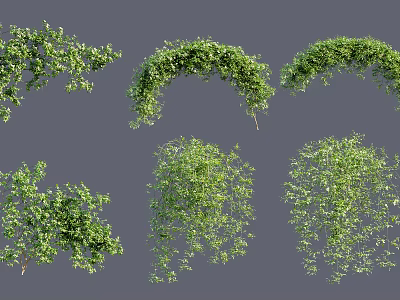 Diverse Green Vines and Shrubs in Various Shapes for Garden Landscaping 3d model