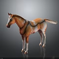 Realistic Orange And White Standing Horse Model With Lifelike Features On Gray Background 3d model