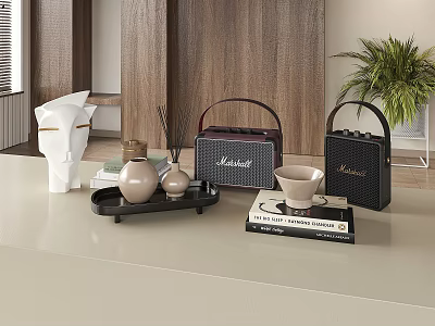 Elegant Modern Decorative Ornament Set With Tray Vase Radio Style Decor And Books 3d model