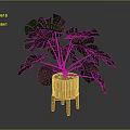 Lush Monstera Plant With Green Leaves In Orange Pot On Wooden Legs Against Dark Background