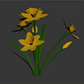 Vibrant Yellow Flowers With Green Stems And Leaves On Gray Background