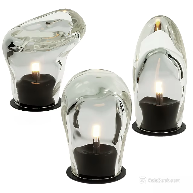 Modern Outdoor Lights With Transparent Glass Bodies Black Bases And Candle Like Light Sources 3d model 