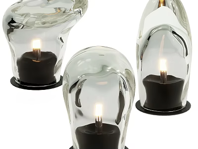 Modern Outdoor Lights With Transparent Glass Bodies Black Bases And Candle Like Light Sources 3d model