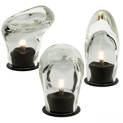 Modern Outdoor Lights With Transparent Glass Bodies Black Bases And Candle Like Light Sources 3d model