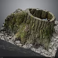 Natural Tree Stump With Green Moss And Fallen Leaves In Outdoor Scene