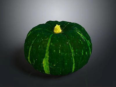 Green Pumpkin Plant With Green Stripes And Yellow Stem On Gray Surface 3d model