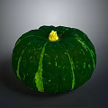 Green Pumpkin Plant With Green Stripes And Yellow Stem On Gray Surface