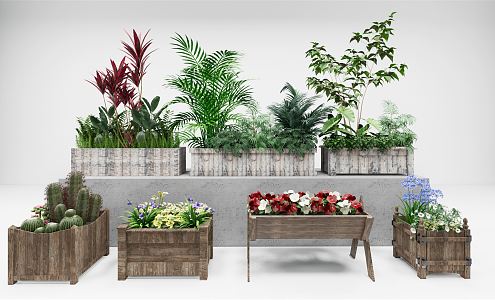 Modern flower box plant combination flower box flower bowl flower bed bonsai vegetation ornaments indoor ornaments outdoor vegetation ornaments 3d model