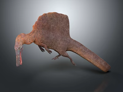 Realistic Spinosaurus Dinosaur Model With Sail Back And Long Snout In Dynamic Pose 3d model