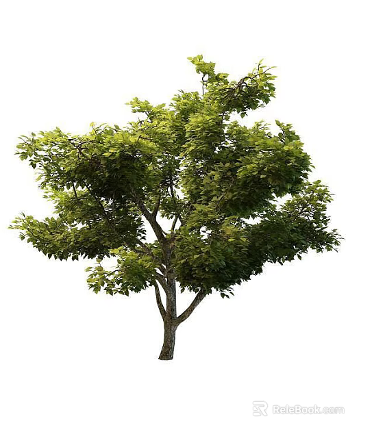 Innovative Sci Tech Exhibition Hall Featuring Indoor Green Trees And Natural Elements 3d model 