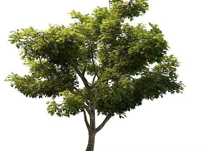 Innovative Sci Tech Exhibition Hall Featuring Indoor Green Trees And Natural Elements 3d model