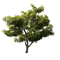 Innovative Sci Tech Exhibition Hall Featuring Indoor Green Trees And Natural Elements