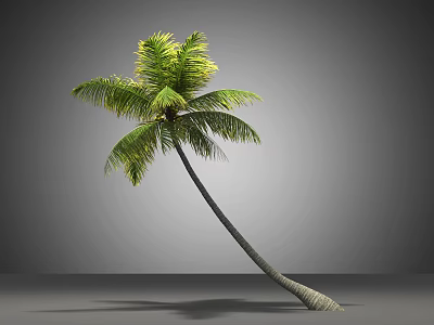 Lush Tropical Palm Tree With Green Fronds And Slender Leaning Trunk 3d model