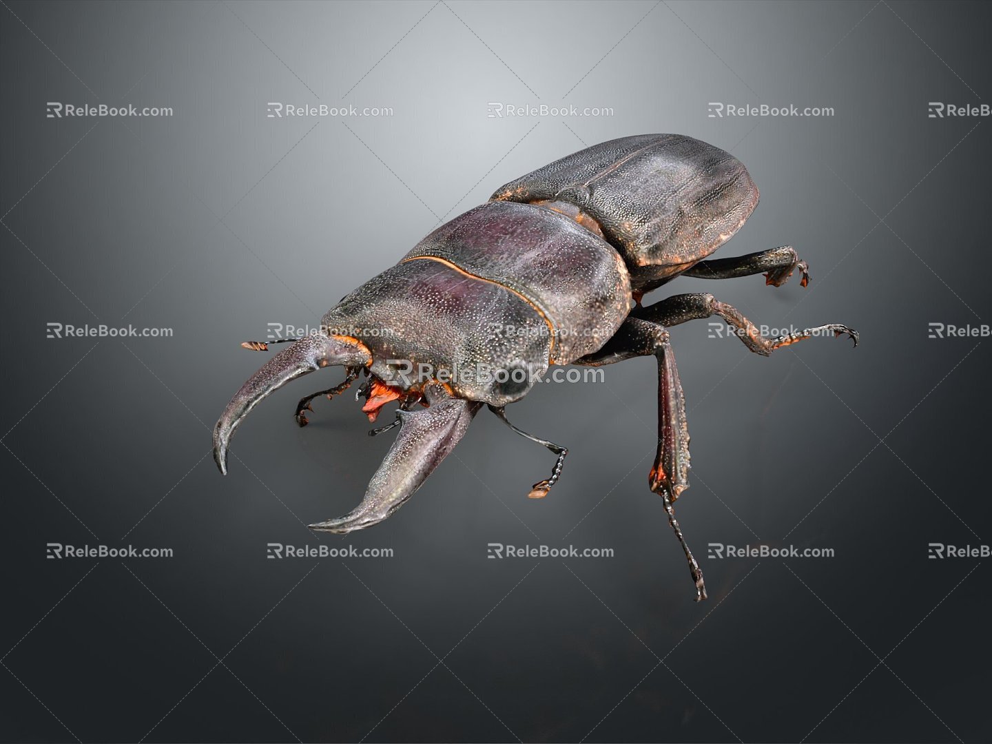 Modern beetle dung beetle beetle chafer 3d model