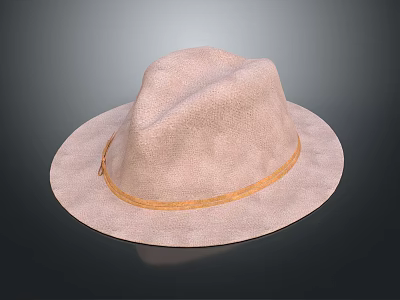 Light Pink Wide Brim Woven Casual Hat With Stylish Brown Band 3d model
