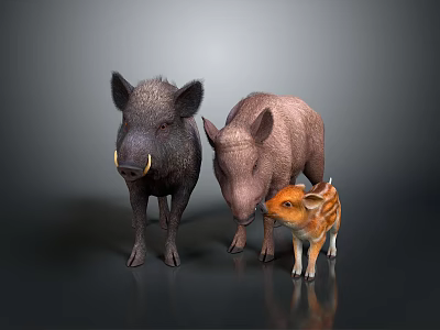 Three Wild Boars with Different Sizes and Colors Including Striped Piglet 3d model