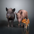 Three Wild Boars with Different Sizes and Colors Including Striped Piglet