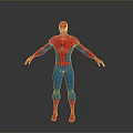 Spider Man 3D Character Model in Red Blue Costume Standing Pose 3d model