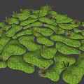 Green Mossy Garden Ornaments With Small Plants And Natural Landscape Design