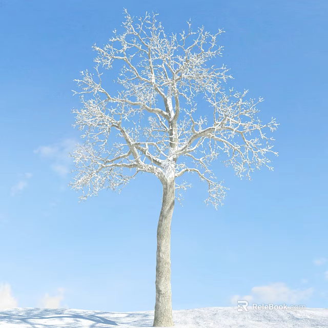 Bare Branch Tree Covered in White Frost Against Clear Blue Sky and White Clouds 3d model 