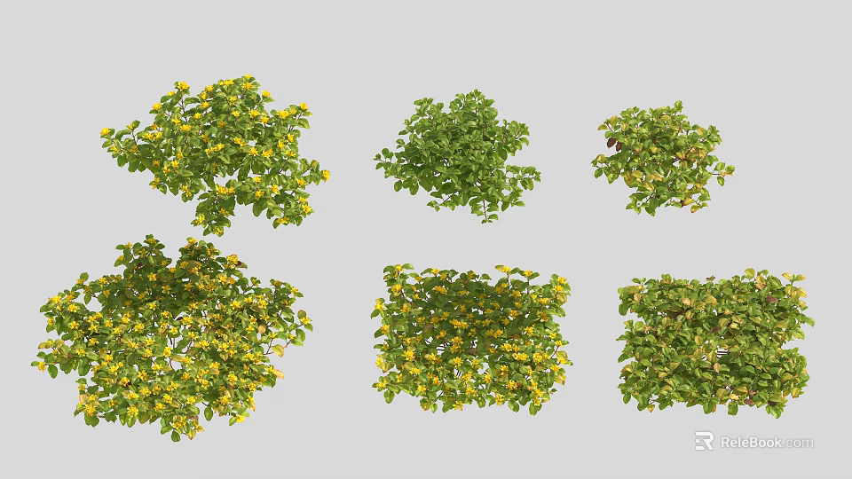 Various Flowering Bushes with Green Foliage and Yellow Blooms for Garden Landscaping 3d model 