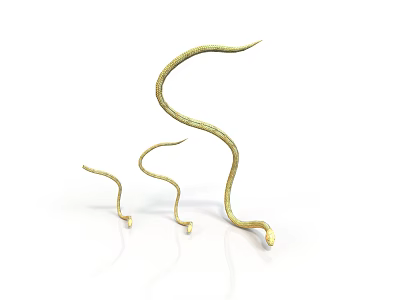 Three Golden Snakes With Curved Shiny Bodies On White Background 3d model