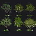Decorative Lights For Outdoor Trees With Green Grass And Stones In Garden