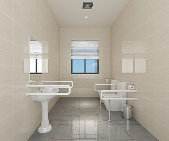 Accessible toilets in nursing homes 3d model