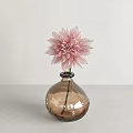Elegant Soft Pink Dahlia with Layered Petals on White Background