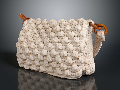 Modern Handbag Women's Bag Women's Bag 3d model