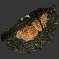 Natural Wooden Log Display With Stone Base And Orange Mushrooms On Textured Surface
