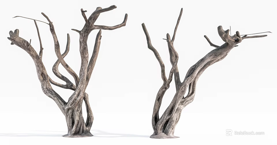 Detailed Bare Tree Trunks Featuring Twisted Branches And Dry Woody Texture 3d model 
