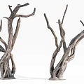 Detailed Bare Tree Trunks Featuring Twisted Branches And Dry Woody Texture