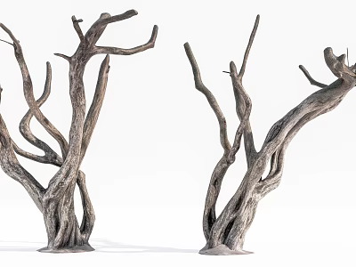 Detailed Bare Tree Trunks Featuring Twisted Branches And Dry Woody Texture 3d model